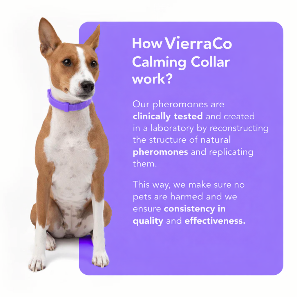 VierraCalm™ - Dog Calming Collar